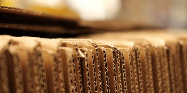 primer-plano-del-carton